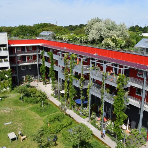 Garten mit bepflanzten Fassaden und grünen Dachflächen